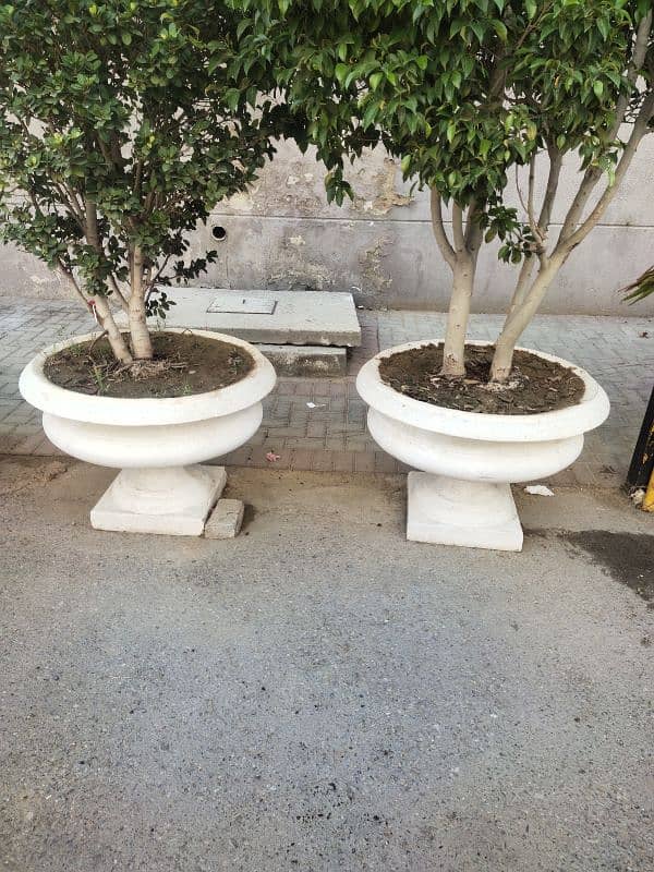 Elegant Italian concrete flower pots 2