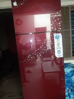 new glass door  full size warranty 10 year camraser