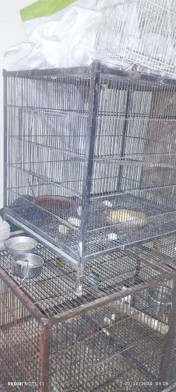 cage for sell 1