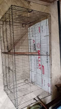 parrot  cage