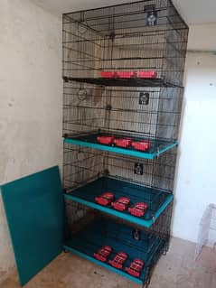 love bird 4 portions cage for sale