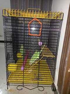 cage (parrots cage)