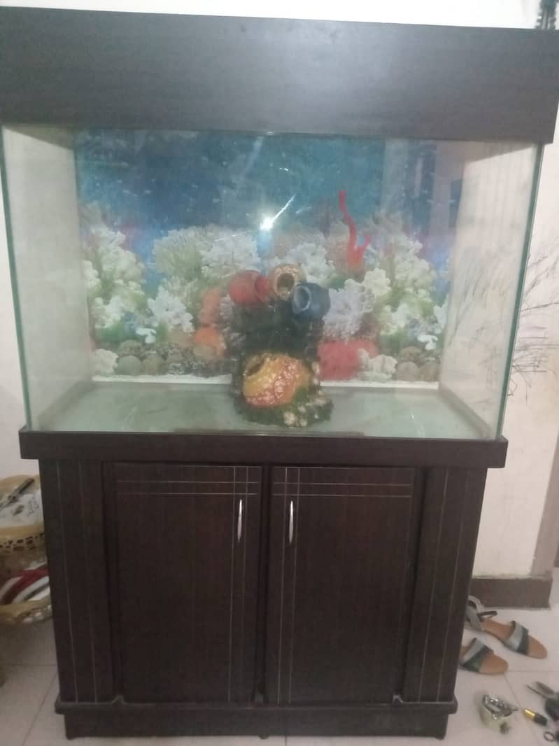 Fish Aquarium 1