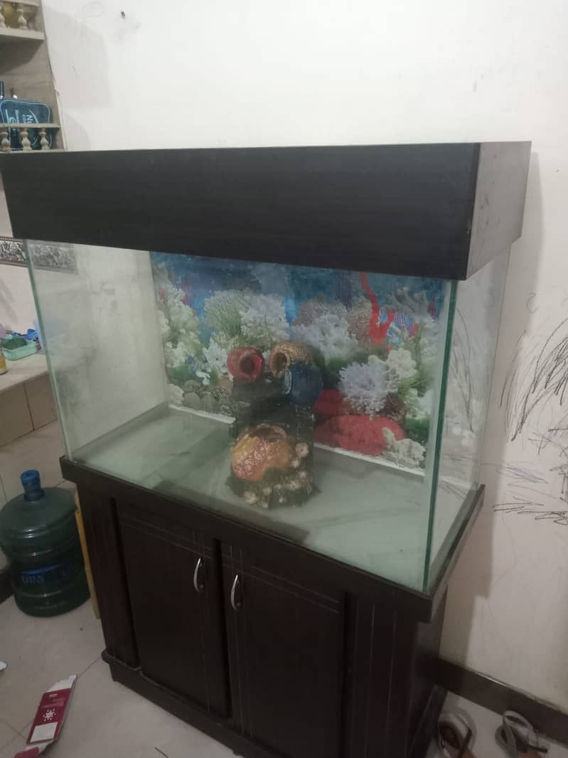 Fish Aquarium 4