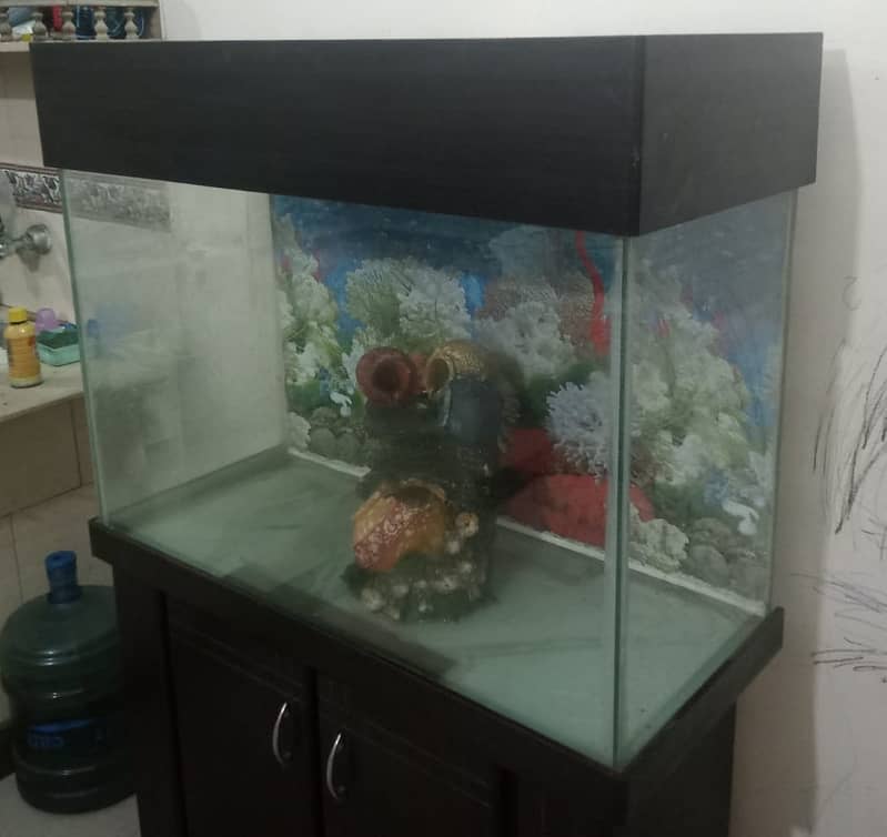 Fish Aquarium 6