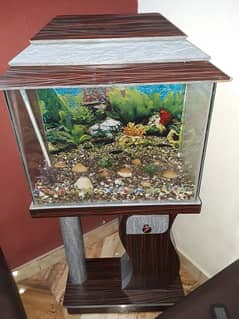 Aquarium For Sale (Only Aquarium)