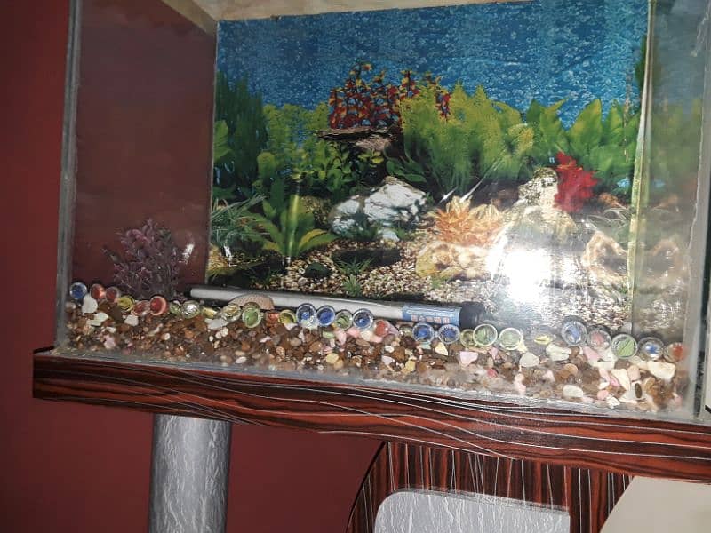 Aquarium For Sale (Only Aquarium) 1