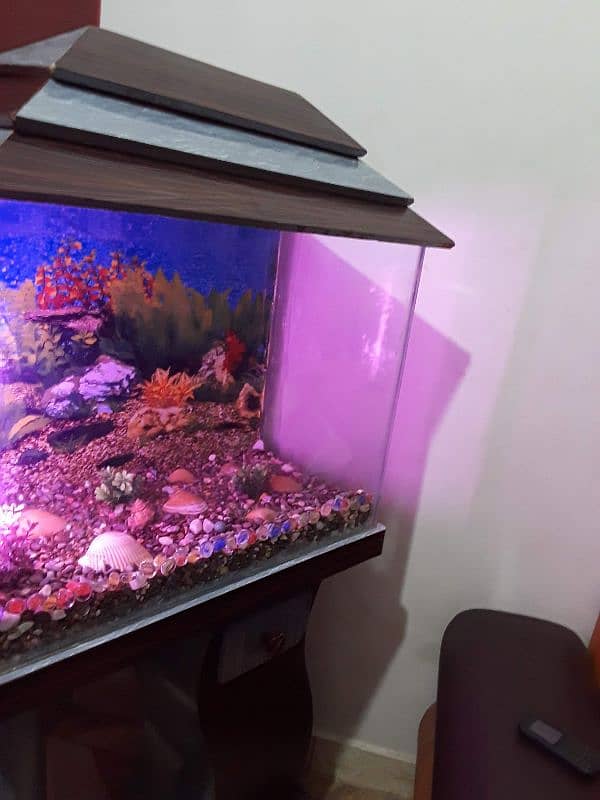 Aquarium For Sale (Only Aquarium) 3