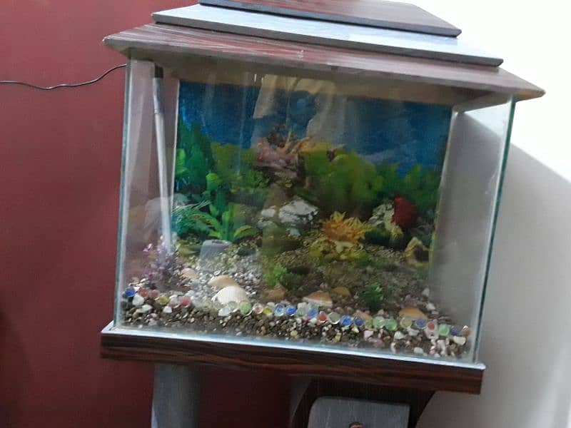 Aquarium For Sale (Only Aquarium) 4