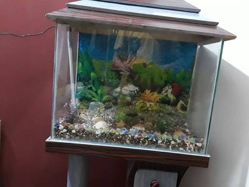 Aquarium For Sale (Only Aquarium) 5