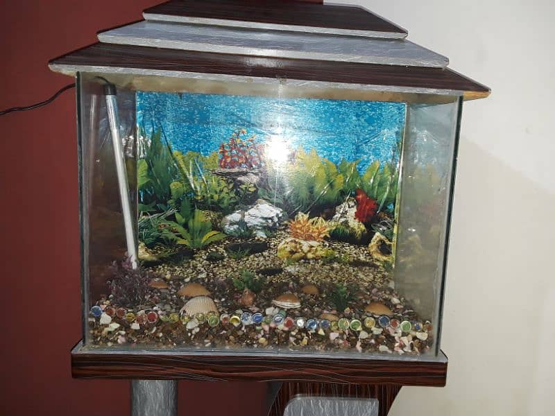 Aquarium For Sale (Only Aquarium) 6