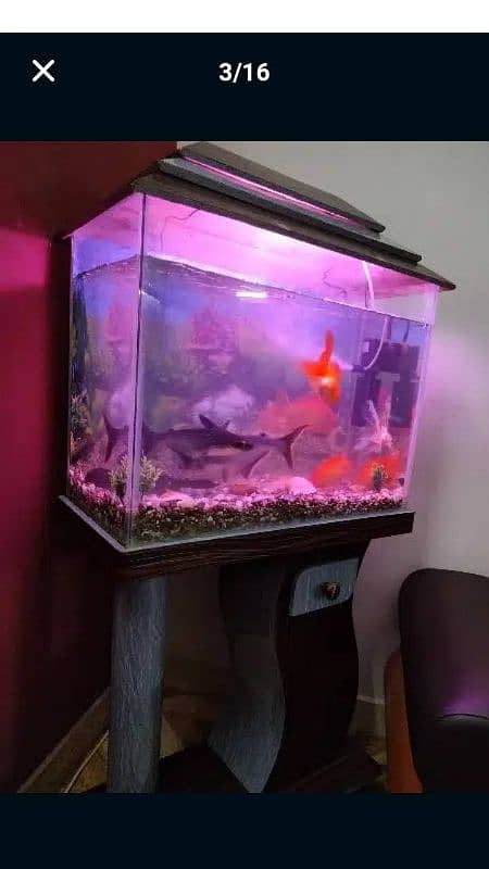 Aquarium For Sale (Only Aquarium) 8