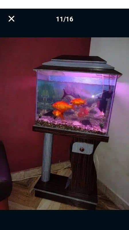 Aquarium For Sale (Only Aquarium) 9