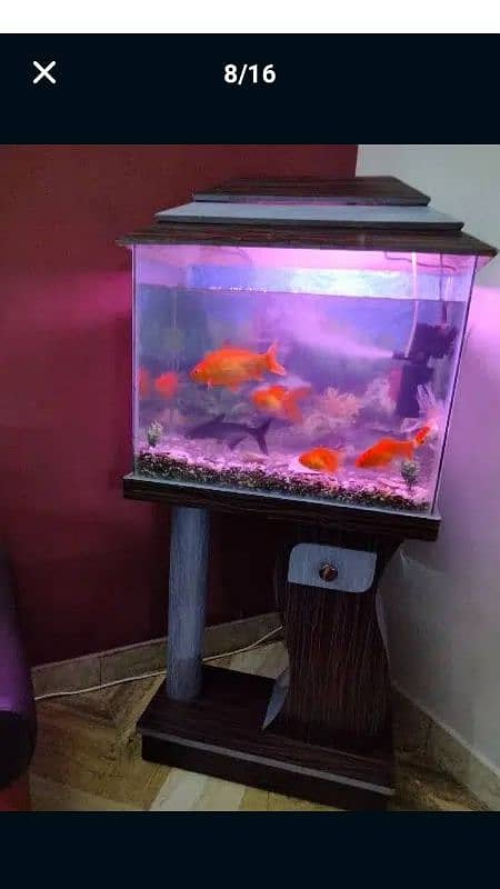 Aquarium For Sale (Only Aquarium) 14