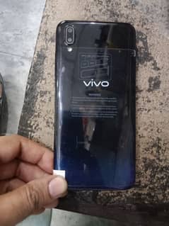 Vivo