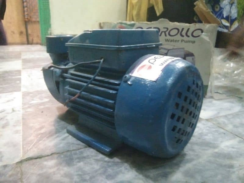 pedrolo water pump brand new 3