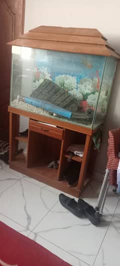 aquarium for just condition 10/9