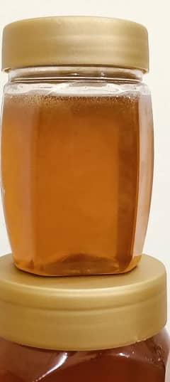 WILD SIDR SMALL BEE HONEY (PURE & TESTED) 100%