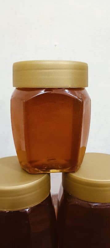 WILD SIDR SMALL BEE HONEY (PURE & TESTED) 100% 2