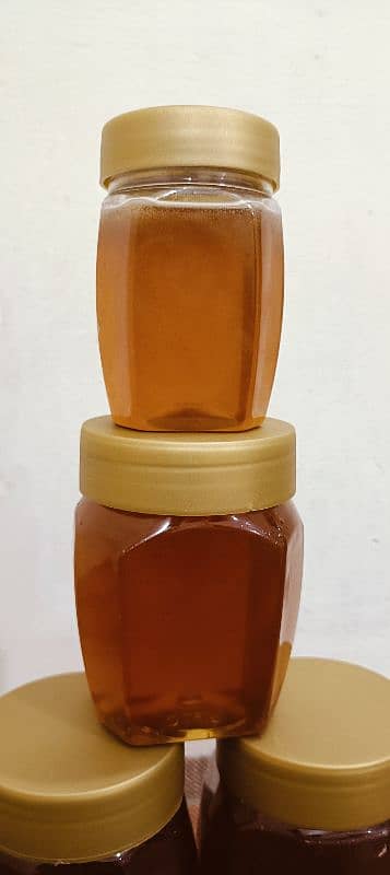 WILD SIDR SMALL BEE HONEY (PURE & TESTED) 100% 9