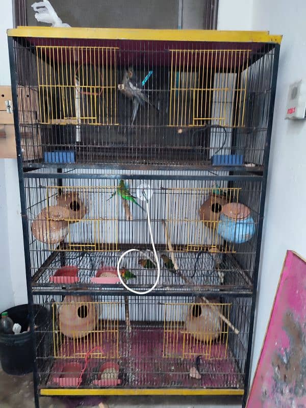 Total 12pce birds and cage urgently sale 0305830122 8