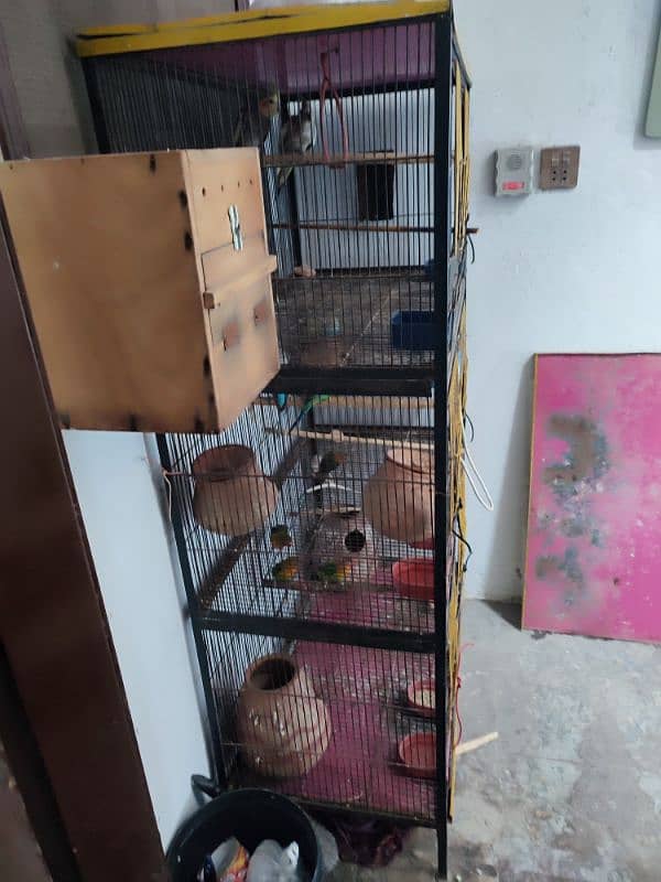 Total 12pce birds and cage urgently sale 0305830122 10