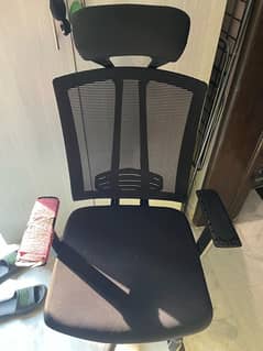 Office Mesh Chair with Lumbar Support