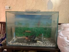 Aquarium 24 height 36 long scerich less mirror and good qualty mirror