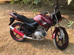 yamaha ybr 125 Japanese model 0