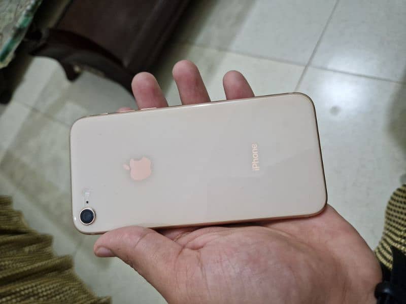 iPhone 8 pta approved 0