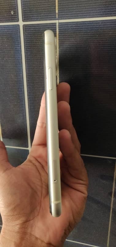 Apple Iphone 11 - 64 gb - Non pta 5