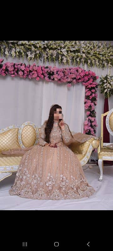 walima maxi 2