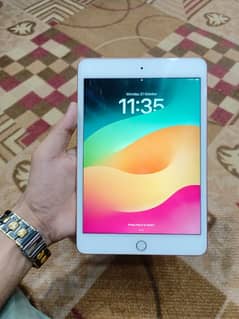 i pad mini 5