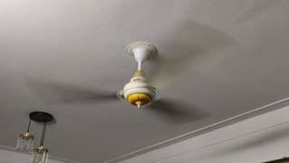 ceiling fan Royal new 10/0 condition