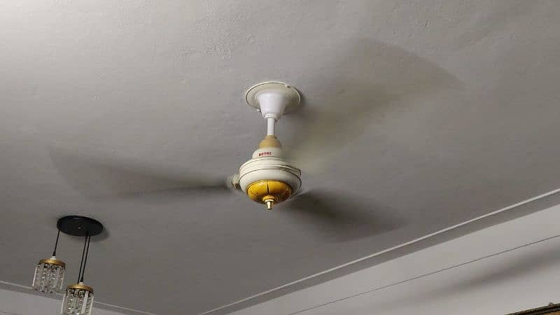 ceiling fan Royal new 10/0 condition 0