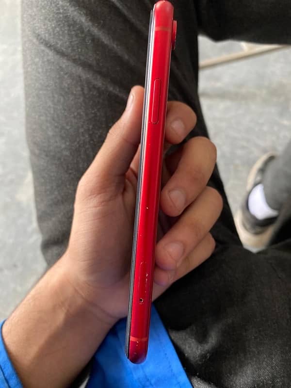 iphone xr (64 gb) 4