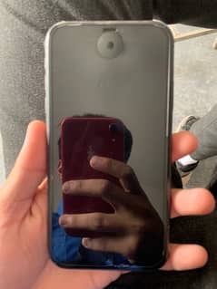 iphone 11 (10/10) 64gb