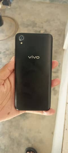 vivo