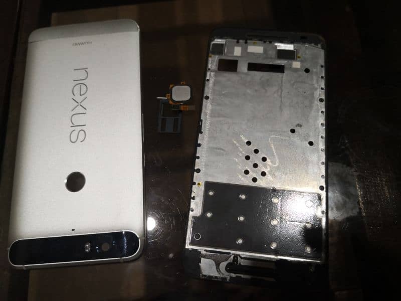 nexus 6p board and body 1