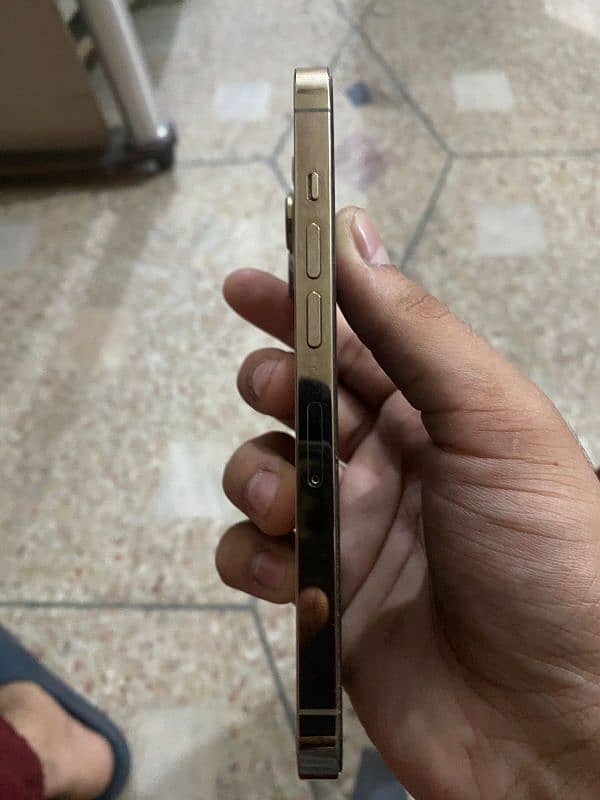 iphone 13 pro non pta factory unlock golden colour 5