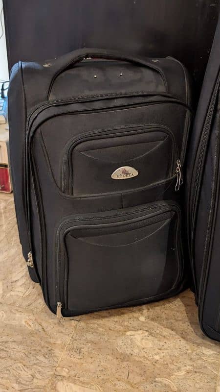 Luggage Trolley Bags - Large and Small 2