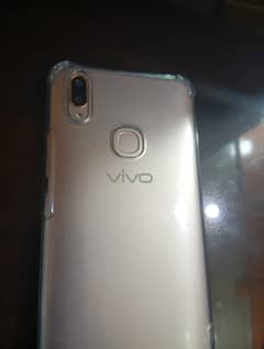 vivo