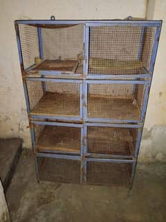 Pigeon Cage , Pinjra