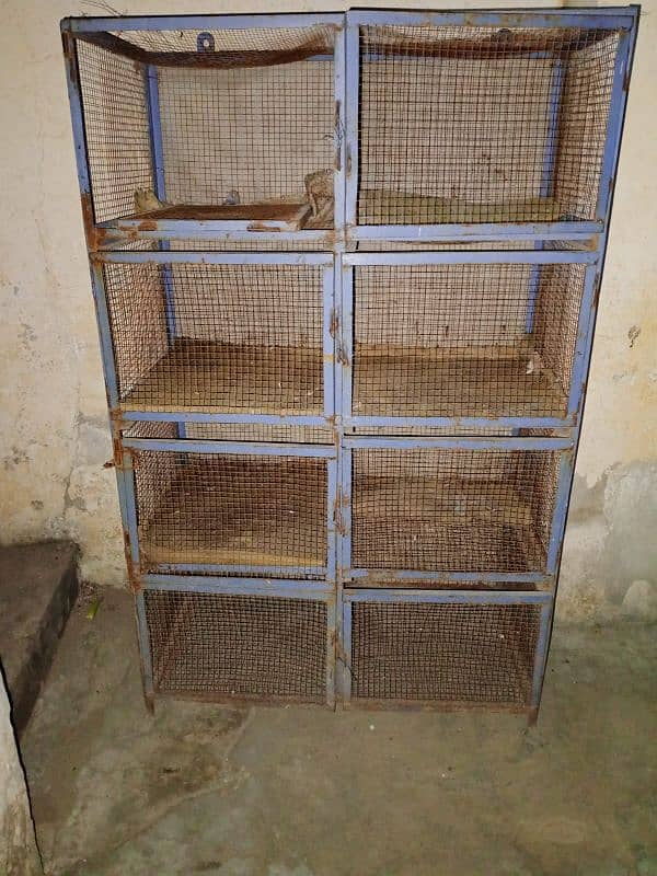 Pigeon Cage , Pinjra 1