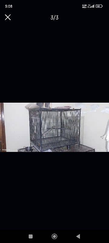 cage for sell 2