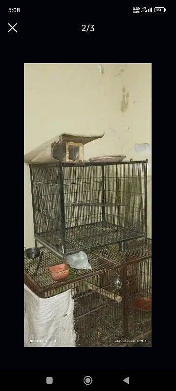 cage for sell 3