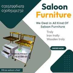 Saloon chair/manicure Padicoure/masage bed/shampo unit/troly