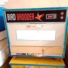 incubator / brooders in All sizes