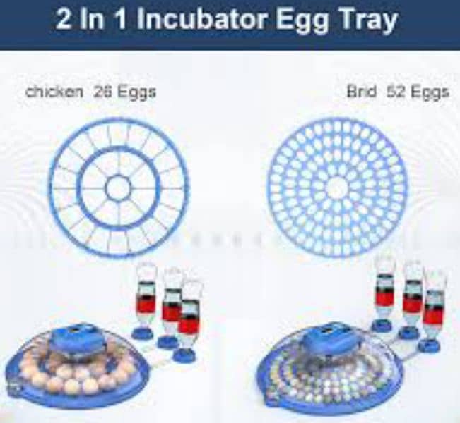 incubator / brooders in All sizes 7