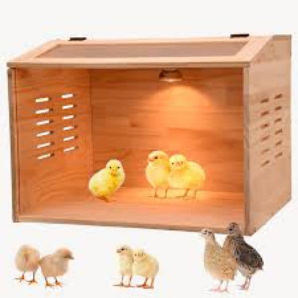 incubator / brooders in All sizes 12